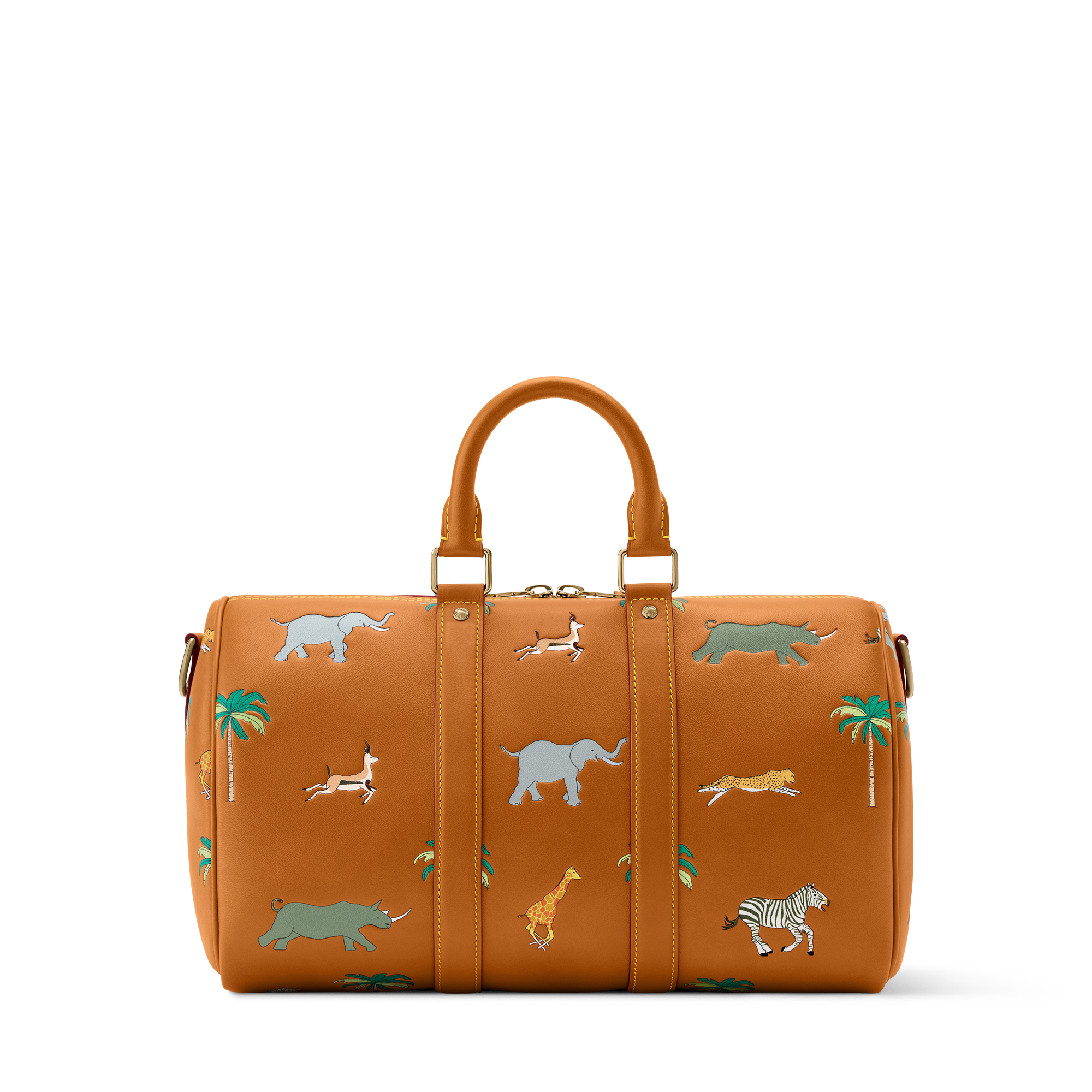 Keepall Bandoulière 35 x The Darjeeling Limited Other Leathers